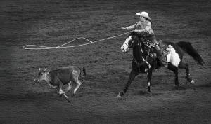 Competition entry: Cowgirl