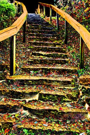 Competition entry: Steps at Rustic Mill State Park