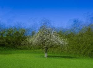 Competition entry: Springtime