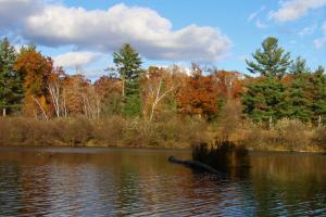 Competition entry: Autumn at Snyder Lake